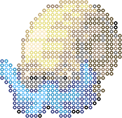 Omanyte bead pattern