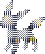 Umbreon bead pattern