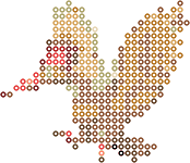 Fearow bead pattern