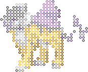 Raikou bead pattern