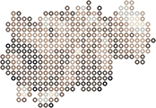 Zigzagoon bead pattern