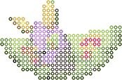 Dustox bead pattern