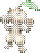 Nuzleaf bead pattern