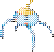 Surskit bead pattern