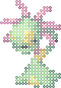 Cradily bead pattern