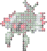 Anorith bead pattern