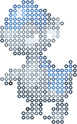Cranidos bead pattern
