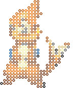 Buizel bead pattern