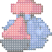 Probopass bead pattern