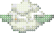 Cottonee bead pattern