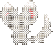 Minccino bead pattern