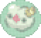 Solosis bead pattern