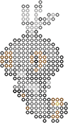 Scatterbug bead pattern