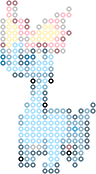Amaura bead pattern