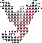 Yveltal bead pattern