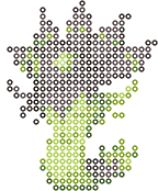 Zygarde bead pattern