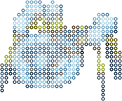 Araquanid bead pattern