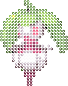Steenee bead pattern