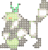 Passimian bead pattern