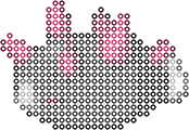Pyukumuku bead pattern