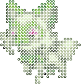 Sprigatito bead pattern