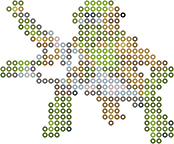 Spidops bead pattern