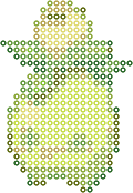 Smoliv bead pattern
